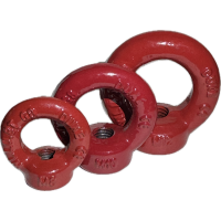 Lyftöglemutter Klass 8